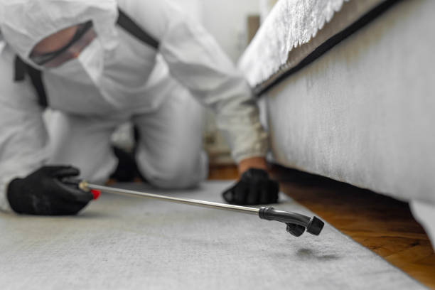 Professional Bed Bug Control technician working in Laurence Harbor, NJ