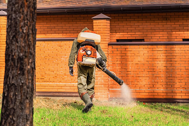Trusted Fumigation Services service in Laurence Harbor, NJ - Nex Pest Control
